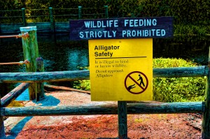 Do Not Feed The Gators